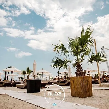 Mario Beachside Summerland Mamaia